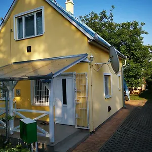 Orgonavirag Hajdúszoboszló